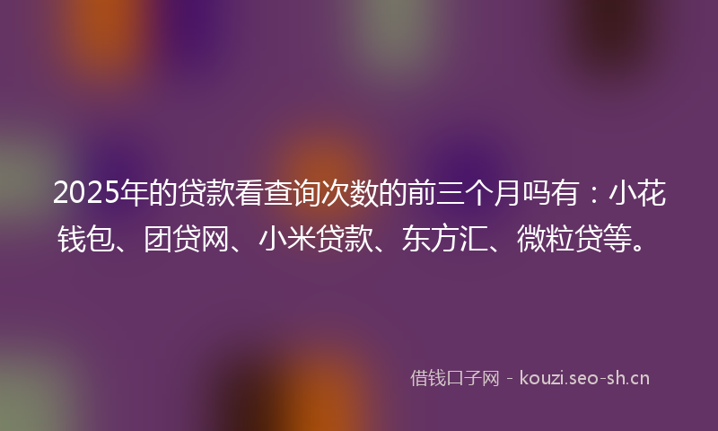 2025年的贷款看查询次数的前三个月吗有：小花钱包、团贷网、小米贷款、东方汇、微粒贷等。