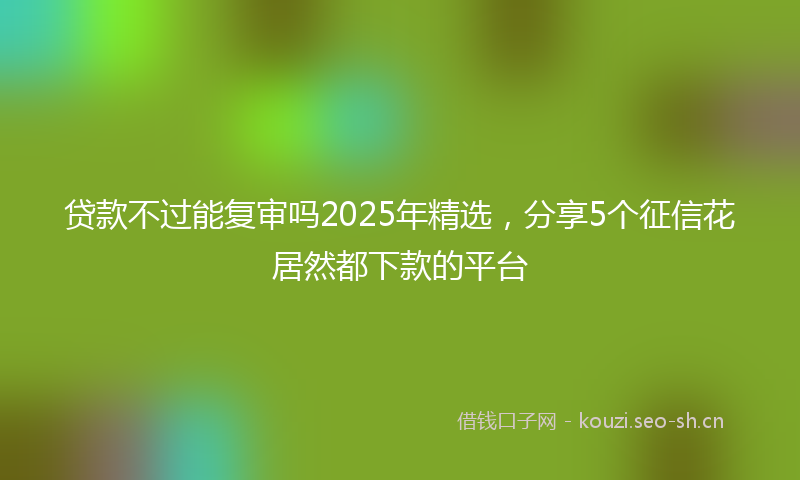 贷款不过能复审吗2025年精选，分享5个征信花居然都下款的平台