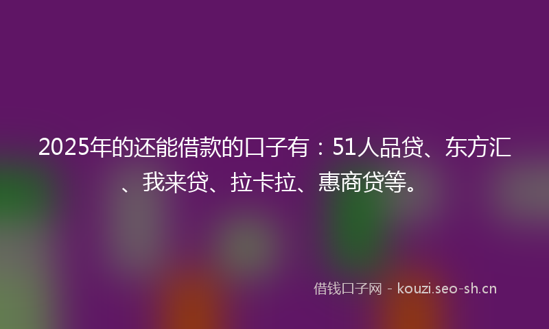 2025年的还能借款的口子有：51人品贷、东方汇、我来贷、拉卡拉、惠商贷等。