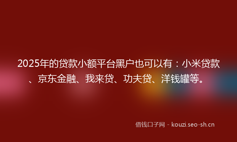2025年的贷款小额平台黑户也可以有：小米贷款、京东金融、我来贷、功夫贷、洋钱罐等。