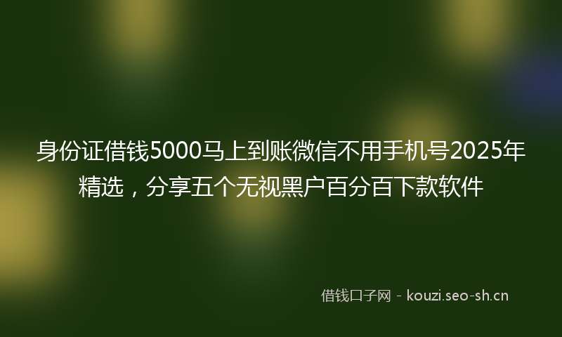 身份证借钱5000马上到账微信不用手机号2025年精选,分享五个无视黑户百分百下款软件