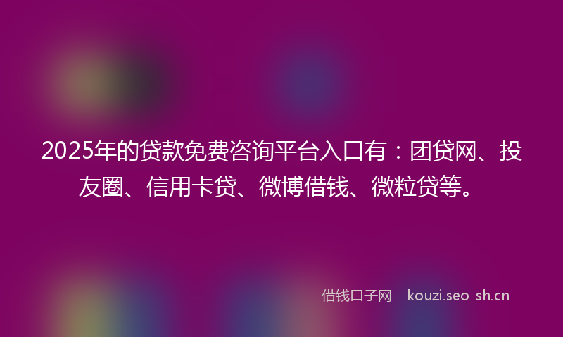 2025年的贷款免费咨询平台入口有：团贷网、投友圈、信用卡贷、微博借钱、微粒贷等。