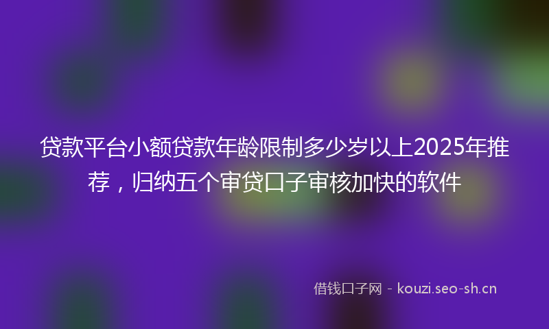 贷款平台小额贷款年龄限制多少岁以上2025年推荐，归纳五个审贷口子审核加快的软件