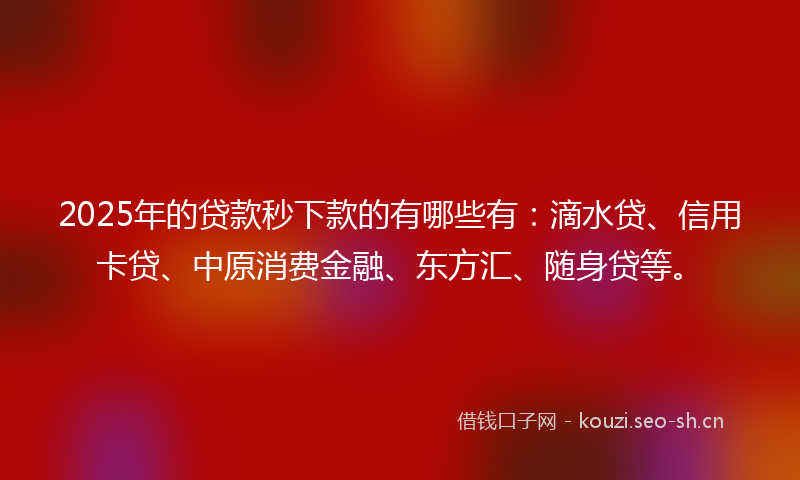 2025年的贷款秒下款的有哪些有：滴水贷、信用卡贷、中原消费金融、东方汇、随身贷等。