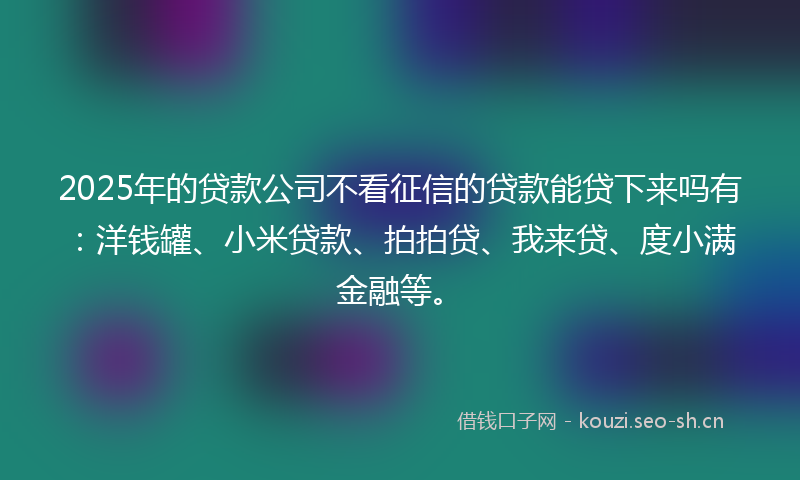 2025年的贷款公司不看征信的贷款能贷下来吗有：洋钱罐、小米贷款、拍拍贷、我来贷、度小满金融等。