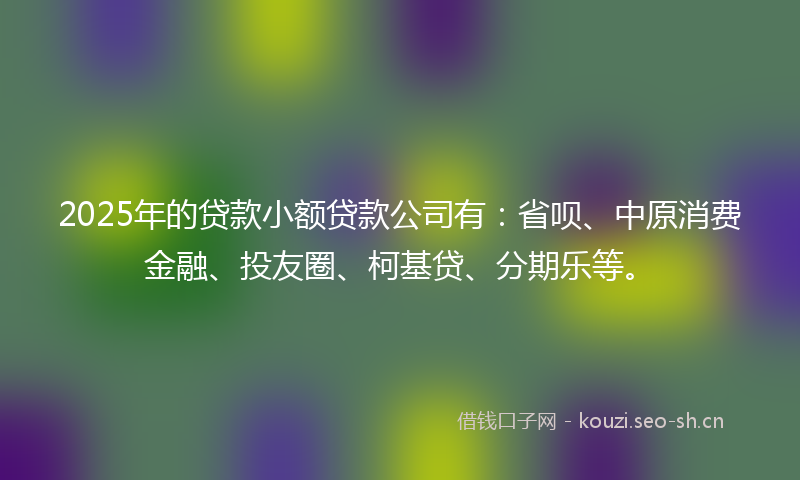 2025年的贷款小额贷款公司有：省呗、中原消费金融、投友圈、柯基贷、分期乐等。