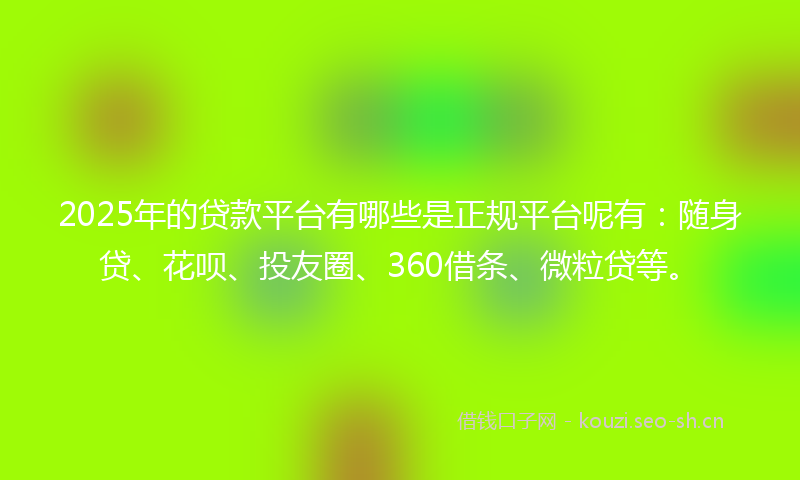 2025年的贷款平台有哪些是正规平台呢有：随身贷、花呗、投友圈、360借条、微粒贷等。