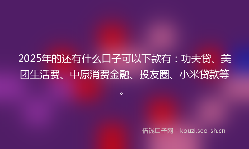 2025年的还有什么口子可以下款有:功夫贷、美团生活费、中原消费金融、投友圈、小米贷款等。