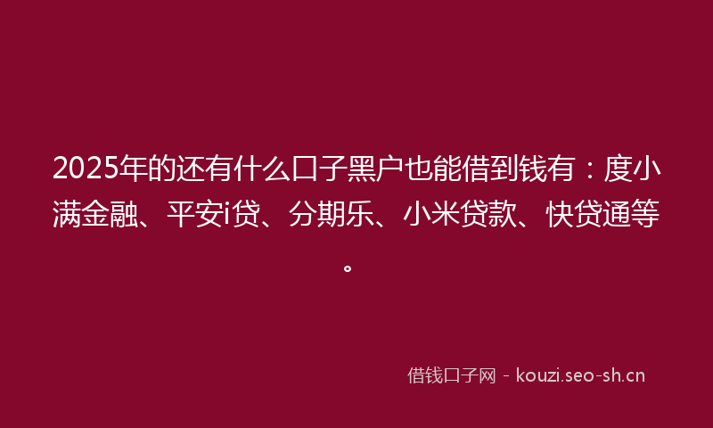2025年的还有什么口子黑户也能借到钱有：度小满金融、平安i贷、分期乐、小米贷款、快贷通等。