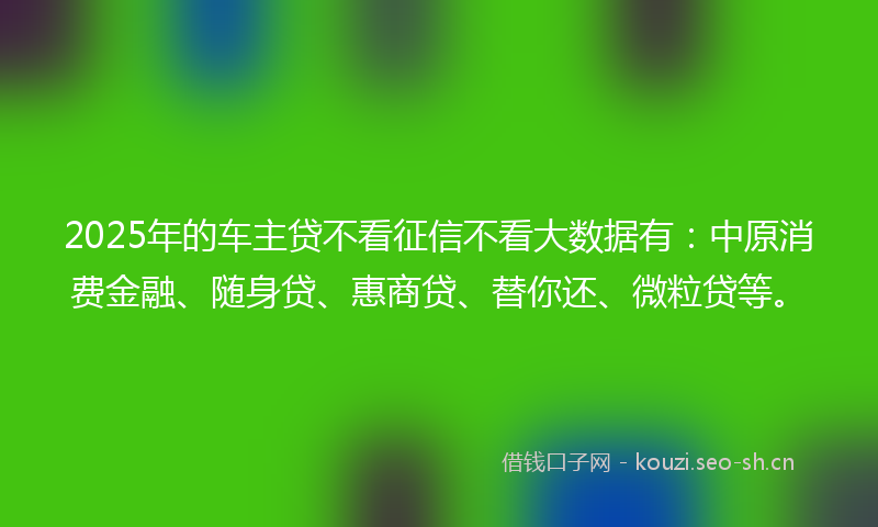 2025年的车主贷不看征信不看大数据有：中原消费金融、随身贷、惠商贷、替你还、微粒贷等。