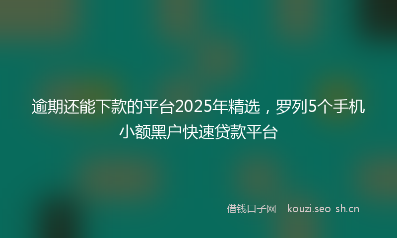 逾期还能下款的平台2025年精选，罗列5个手机小额黑户快速贷款平台