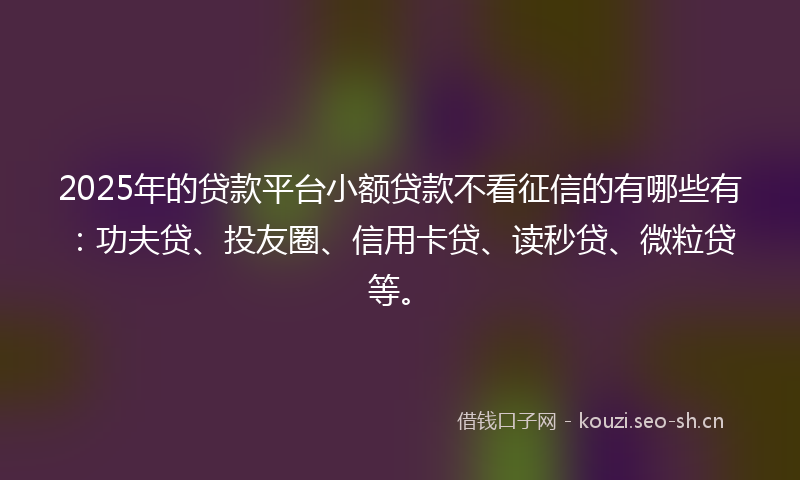 2025年的贷款平台小额贷款不看征信的有哪些有：功夫贷、投友圈、信用卡贷、读秒贷、微粒贷等。