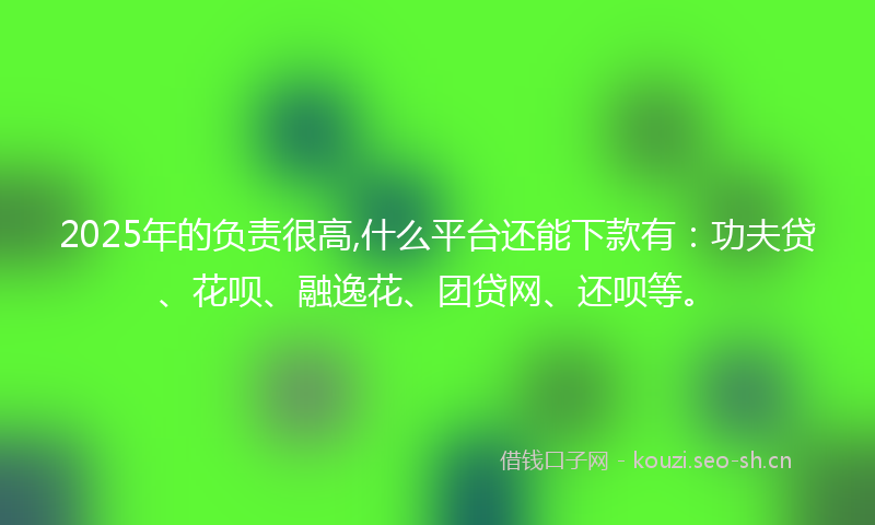 2025年的负责很高,什么平台还能下款有：功夫贷、花呗、融逸花、团贷网、还呗等。