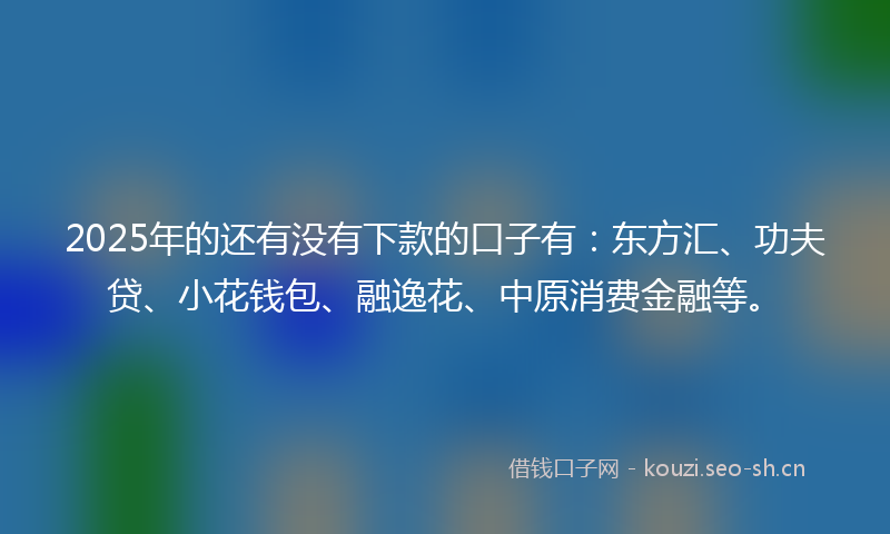 2025年的还有没有下款的口子有：东方汇、功夫贷、小花钱包、融逸花、中原消费金融等。