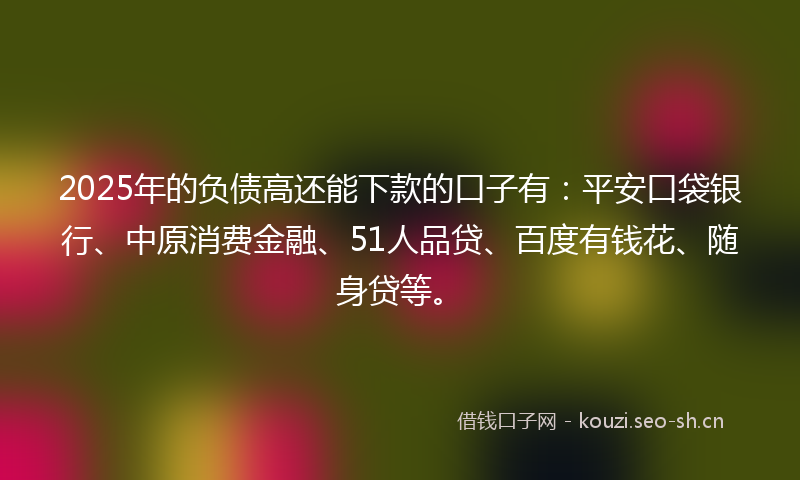 2025年的负债高还能下款的口子有：平安口袋银行、中原消费金融、51人品贷、百度有钱花、随身贷等。