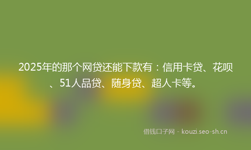 2025年的那个网贷还能下款有：信用卡贷、花呗、51人品贷、随身贷、超人卡等。