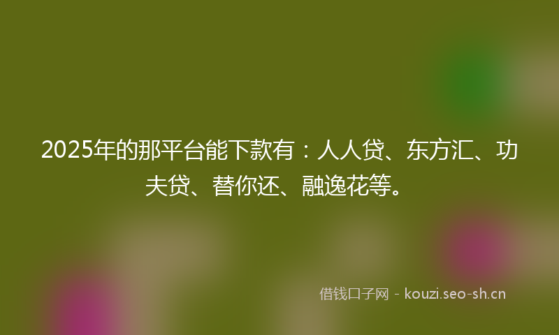 2025年的那平台能下款有：人人贷、东方汇、功夫贷、替你还、融逸花等。