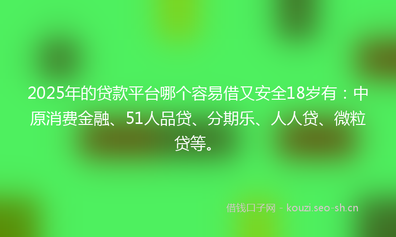 2025年的贷款平台哪个容易借又安全18岁有：中原消费金融、51人品贷、分期乐、人人贷、微粒贷等。
