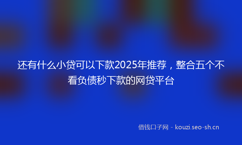 还有什么小贷可以下款2025年推荐，整合五个不看负债秒下款的网贷平台