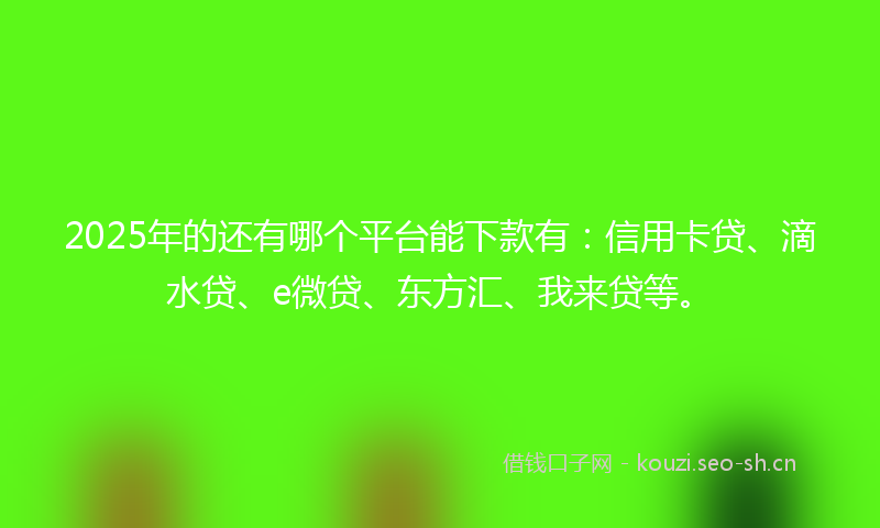 2025年的还有哪个平台能下款有：信用卡贷、滴水贷、e微贷、东方汇、我来贷等。