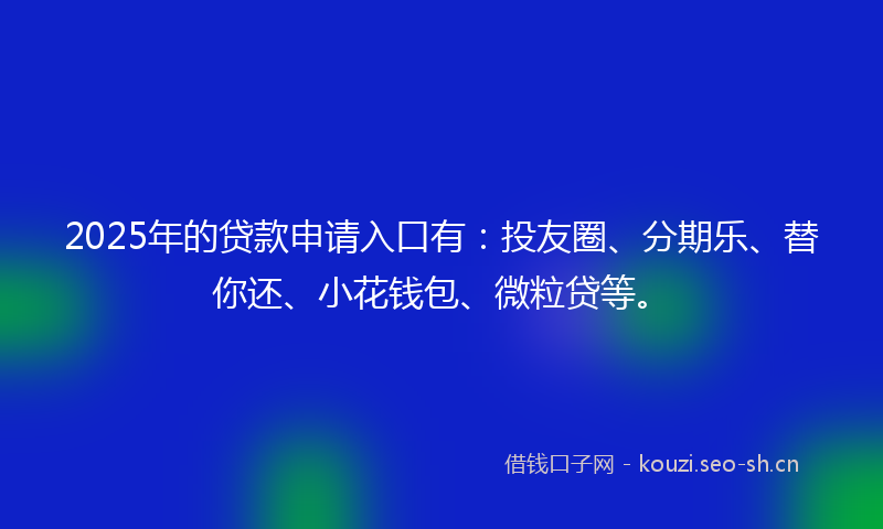 2025年的贷款申请入口有：投友圈、分期乐、替你还、小花钱包、微粒贷等。