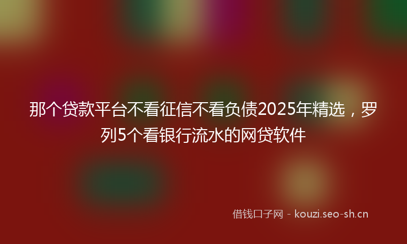 那个贷款平台不看征信不看负债2025年精选，罗列5个看银行流水的网贷软件