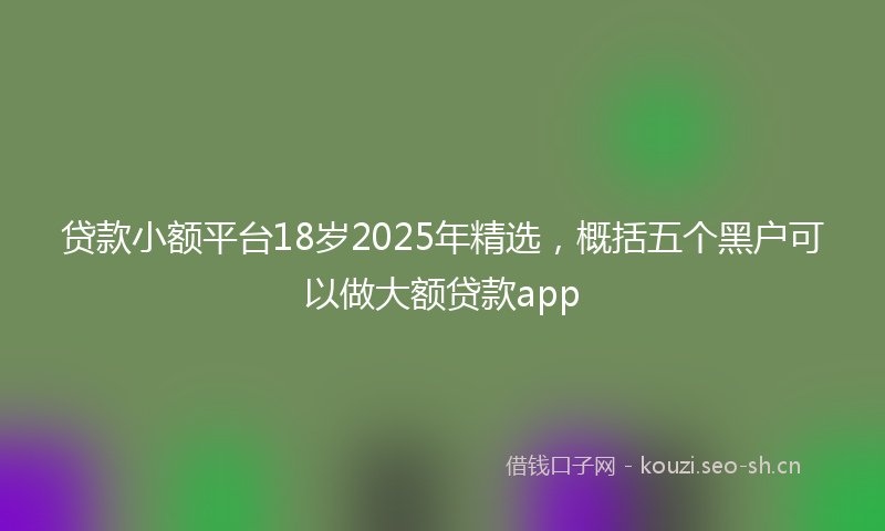 贷款小额平台18岁2025年精选，概括五个黑户可以做大额贷款app