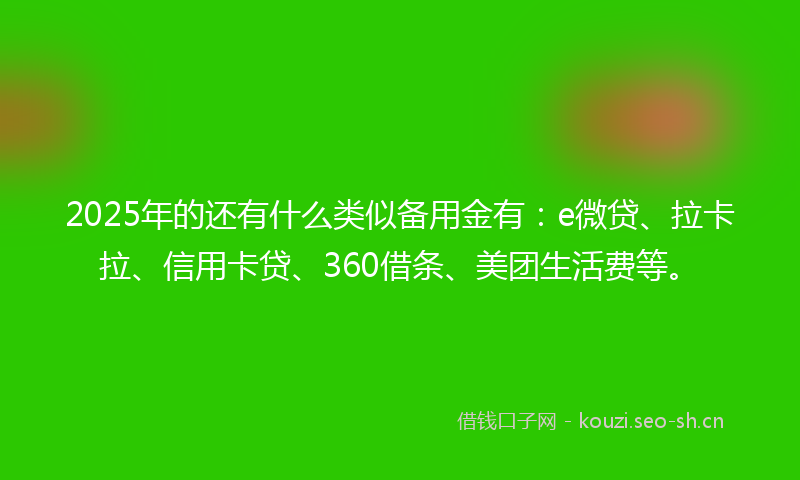 2025年的还有什么类似备用金有：e微贷、拉卡拉、信用卡贷、360借条、美团生活费等。
