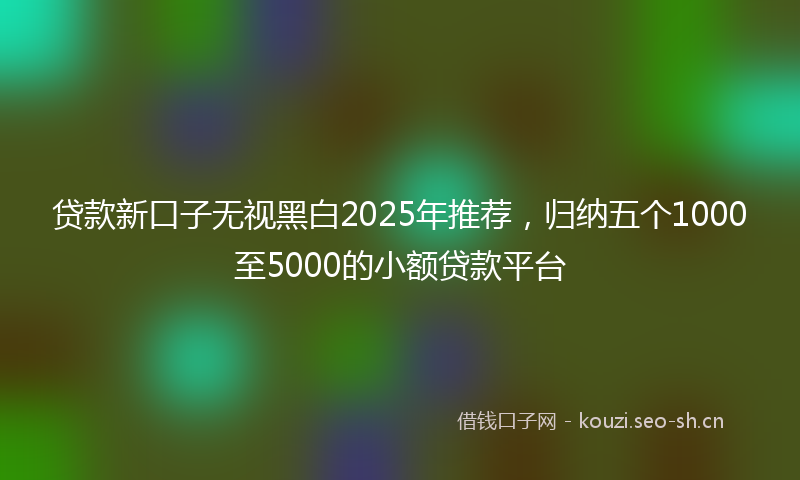 贷款新口子无视黑白2025年推荐，归纳五个1000至5000的小额贷款平台