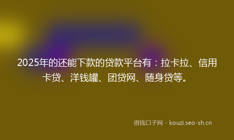 2025年的还能下款的贷款平台有：拉卡拉、信用卡贷、洋钱罐、团贷网、随身贷等。