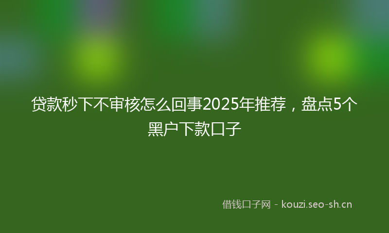 贷款秒下不审核怎么回事2025年推荐,盘点5个黑户下款口子