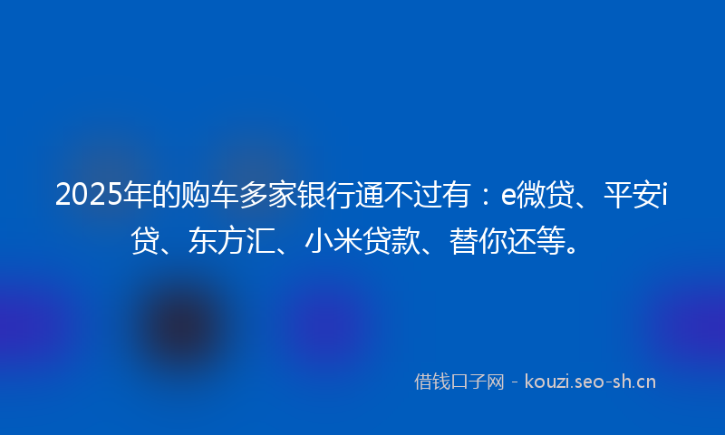 2025年的购车多家银行通不过有：e微贷、平安i贷、东方汇、小米贷款、替你还等。
