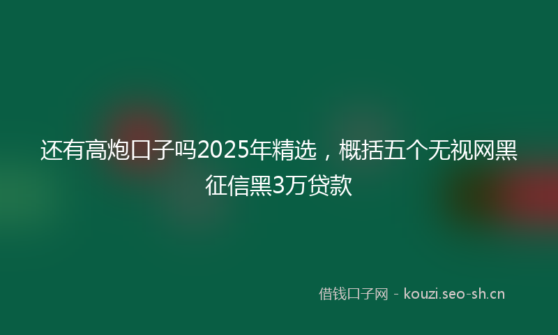 还有高炮口子吗2025年精选，概括五个无视网黑征信黑3万贷款
