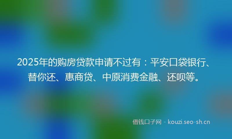 2025年的购房贷款申请不过有：平安口袋银行、替你还、惠商贷、中原消费金融、还呗等。