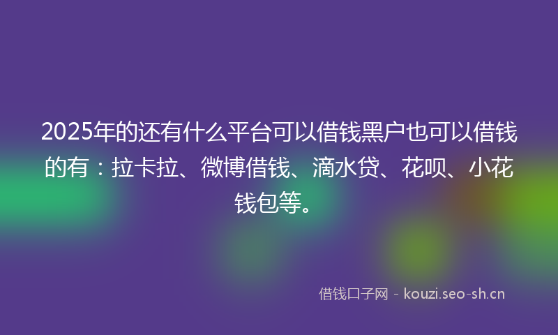 2025年的还有什么平台可以借钱黑户也可以借钱的有：拉卡拉、微博借钱、滴水贷、花呗、小花钱包等。