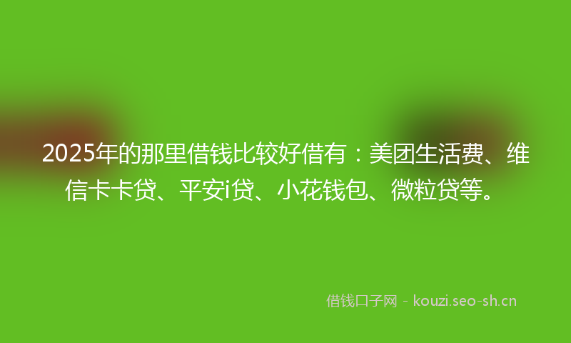 2025年的那里借钱比较好借有:美团生活费、维信卡卡贷、平安i贷、小花钱包、微粒贷等。