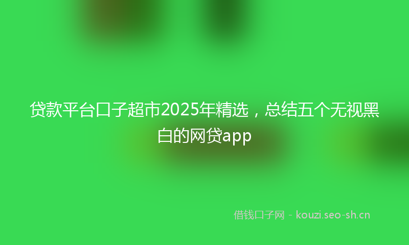 贷款平台口子超市2025年精选，总结五个无视黑白的网贷app