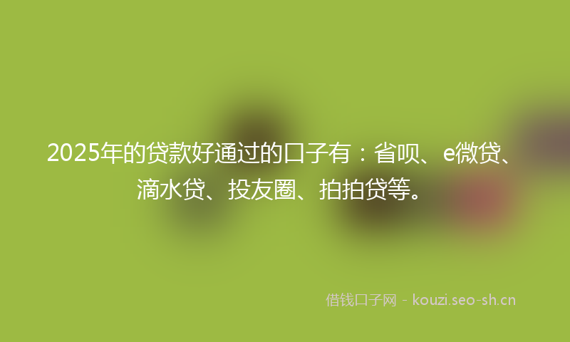 2025年的贷款好通过的口子有：省呗、e微贷、滴水贷、投友圈、拍拍贷等。