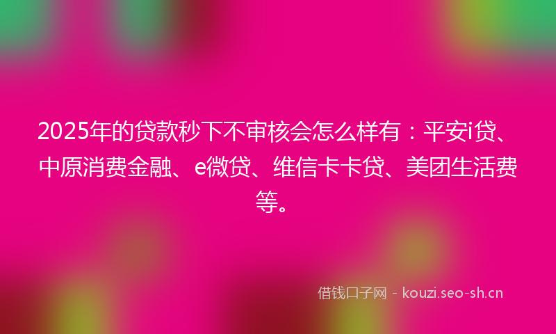 2025年的贷款秒下不审核会怎么样有：平安i贷、中原消费金融、e微贷、维信卡卡贷、美团生活费等。