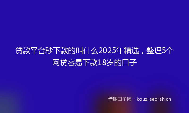贷款平台秒下款的叫什么2025年精选，整理5个网贷容易下款18岁的口子
