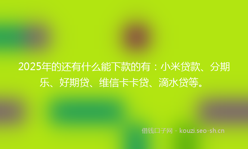 2025年的还有什么能下款的有：小米贷款、分期乐、好期贷、维信卡卡贷、滴水贷等。