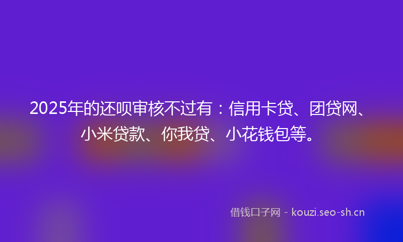 2025年的还呗审核不过有：信用卡贷、团贷网、小米贷款、你我贷、小花钱包等。