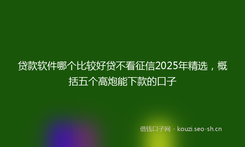 贷款软件哪个比较好贷不看征信2025年精选，概括五个高炮能下款的口子