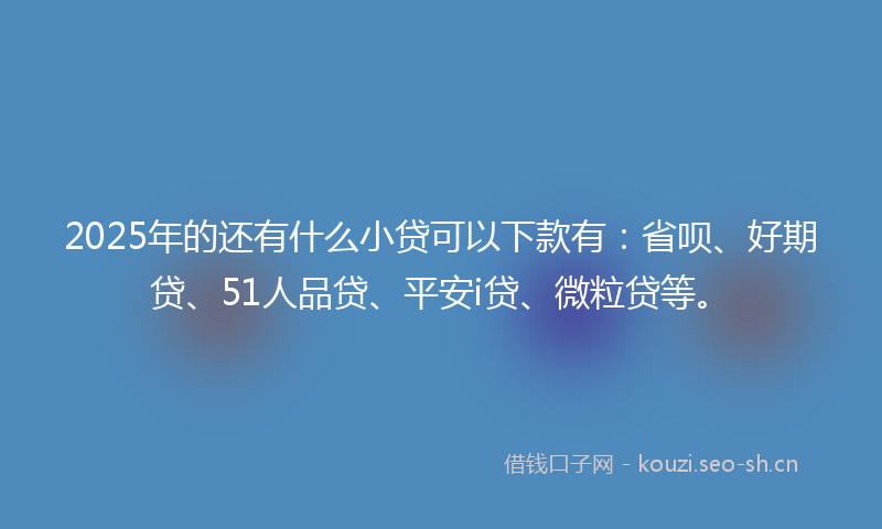 2025年的还有什么小贷可以下款有：省呗、好期贷、51人品贷、平安i贷、微粒贷等。