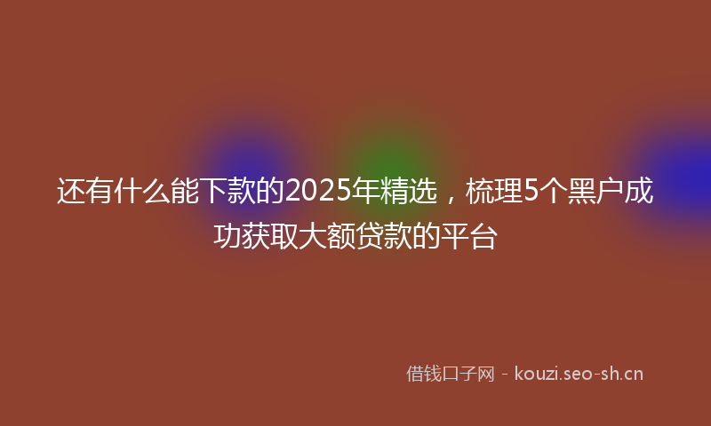还有什么能下款的2025年精选，梳理5个黑户成功获取大额贷款的平台