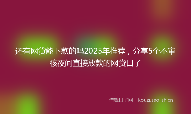 还有网贷能下款的吗2025年推荐，分享5个不审核夜间直接放款的网贷口子