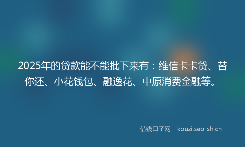 2025年的贷款能不能批下来有：维信卡卡贷、替你还、小花钱包、融逸花、中原消费金融等。