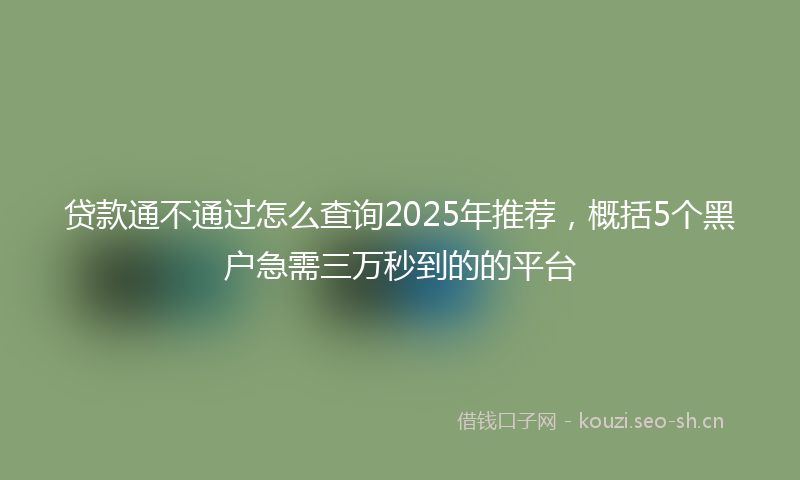 贷款通不通过怎么查询2025年推荐,概括5个黑户急需三万秒到的的平台