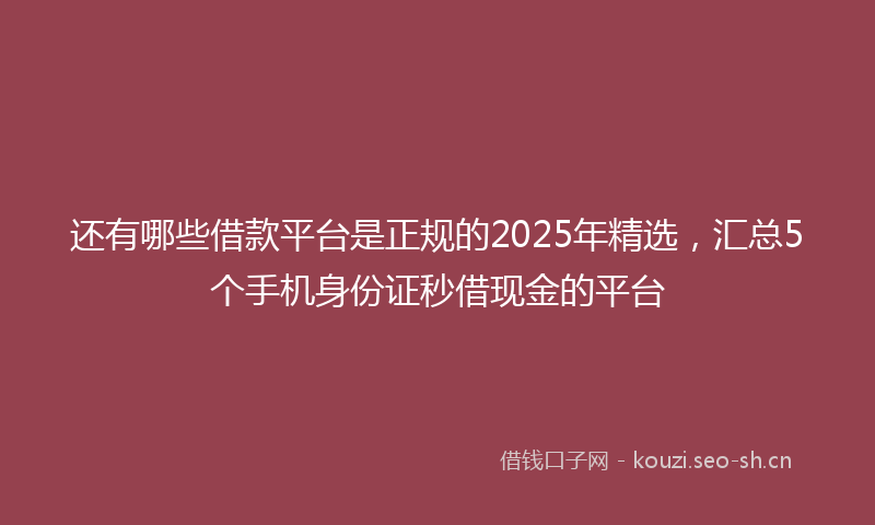 还有哪些借款平台是正规的2025年精选，汇总5个手机身份证秒借现金的平台