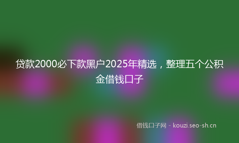 贷款2000必下款黑户2025年精选，整理五个公积金借钱口子